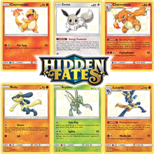 Load image into Gallery viewer, Hidden Fates Elite Trainer Box